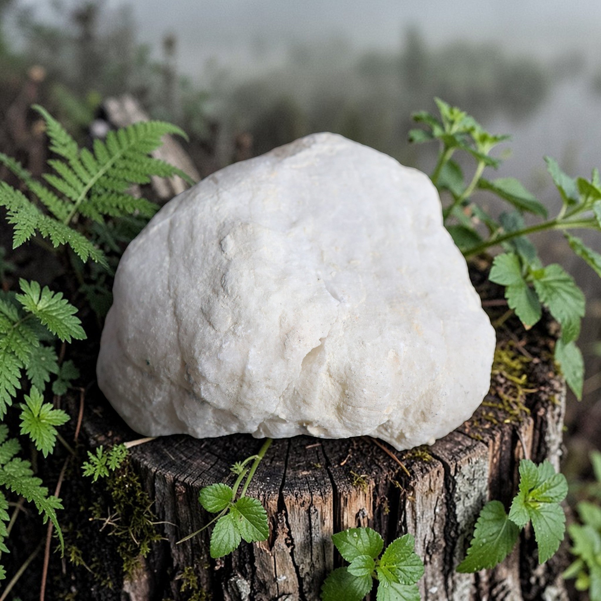 Géode de Quartz Naturelle entière – 1,218 kg – Pièce Unique qualité extra