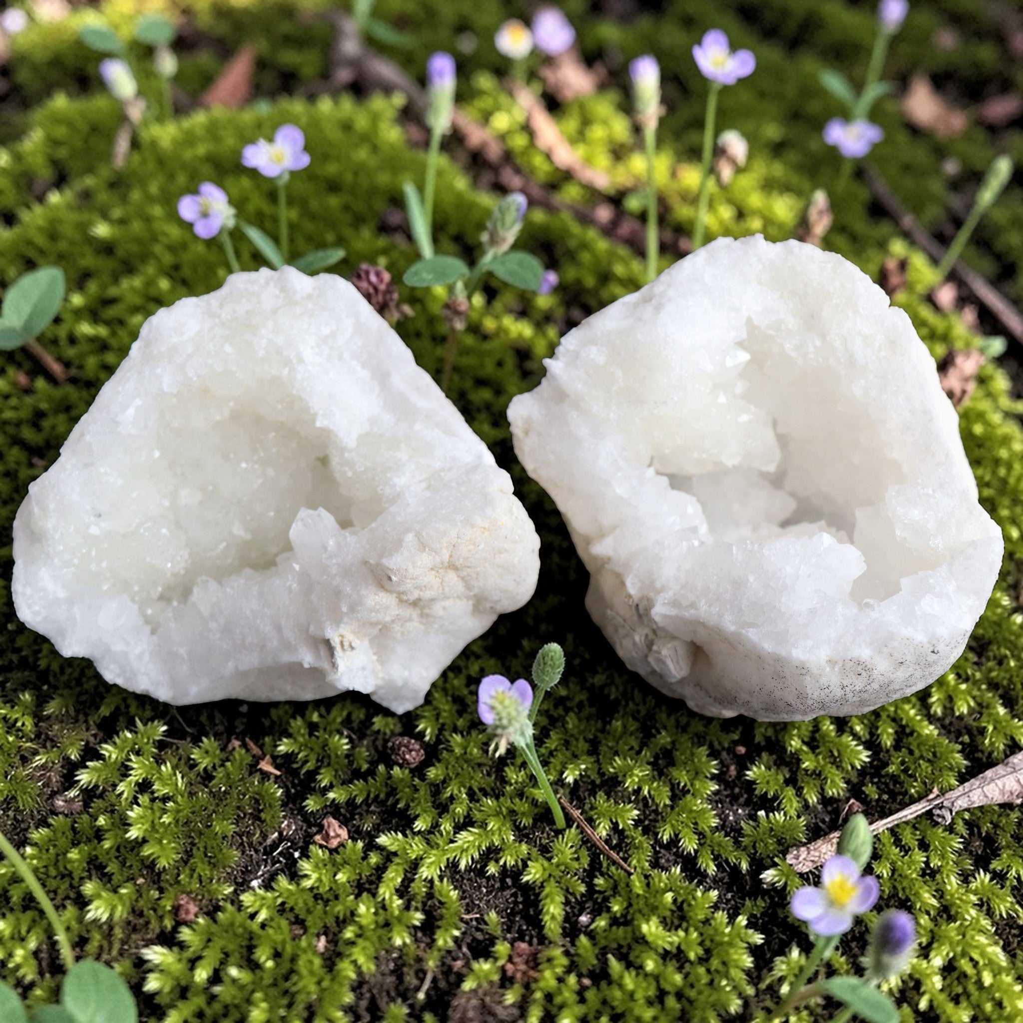 Géode de Quartz Naturelle entière – 1,558 kg – Pièce Unique qualité extra