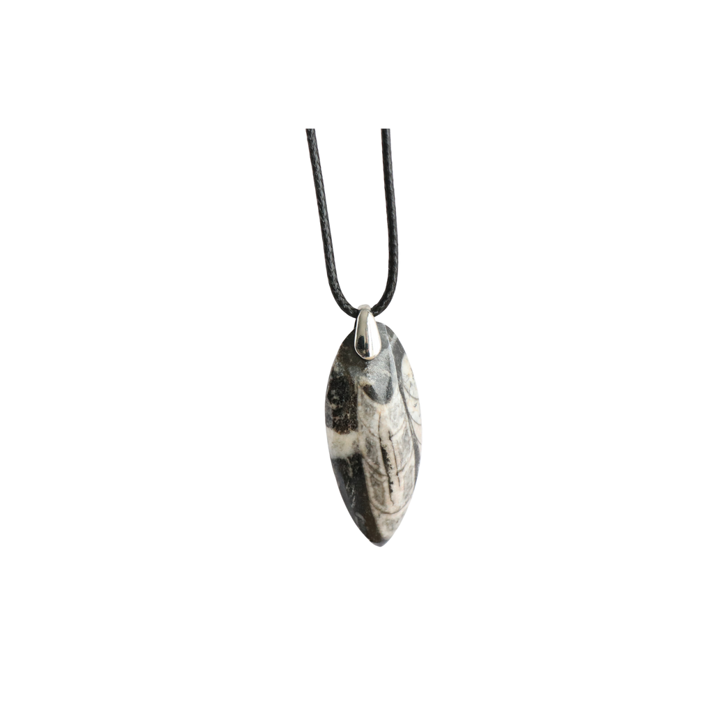 Pendentif Orthocéras Fossile – Collier Pierre Ancrage & Force Ancestrale